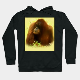 Orangutan Hoodie